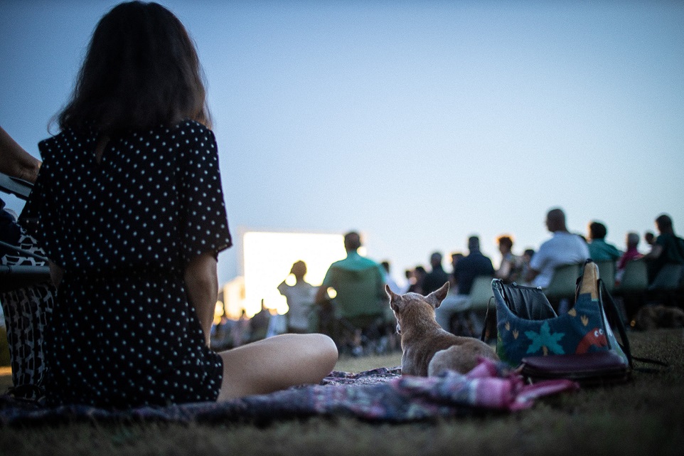 Tavolara, festival cinema 2024