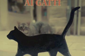 VENEZIA, VIETATO L'INGRESSO AI GATTI