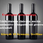 regolamento etichette vino Gaetano Cataldo